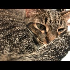 Meet your Posher, Julie